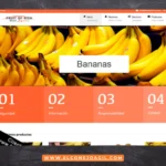 Servicio webdesign-diseno pagina wev-tienda en linea-ecommerce-agiles-el-conejo-agil-portafolio de website